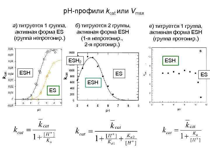 р. Н-профили kcat или Vmax а) титруется 1 группа, активная форма ЕS (группа непротонир.