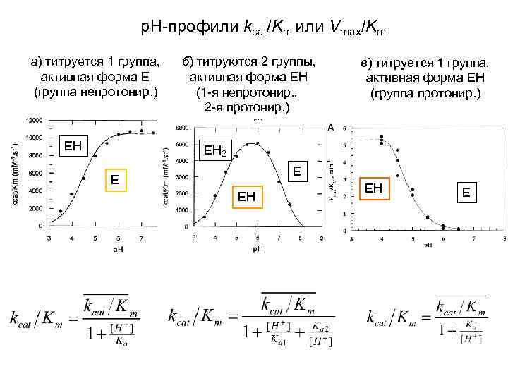 р. Н-профили kcat/Km или Vmax/Km а) титруется 1 группа, активная форма Е (группа непротонир.