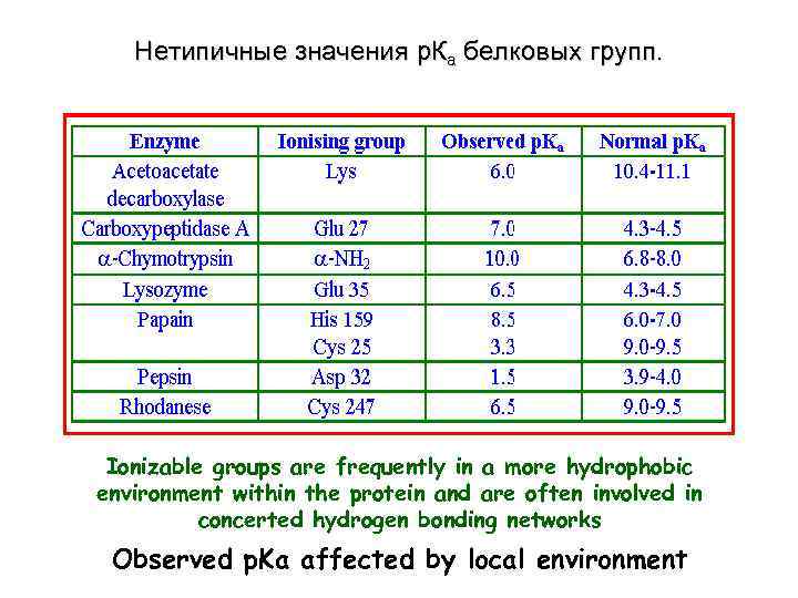 Нетипичные значения р. Ка белковых групп. Ionizable groups are frequently in a more hydrophobic