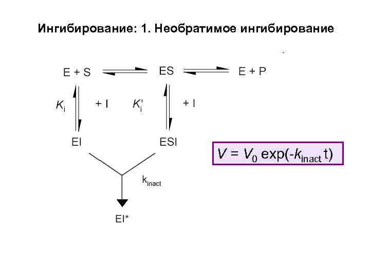 Ингибирование: 1. Необратимое ингибирование V = V 0 exp(-kinact t) 