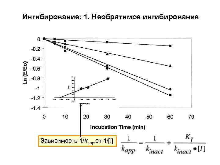 Ингибирование: 1. Необратимое ингибирование Зависимость 1/kapp от 1/[I] 