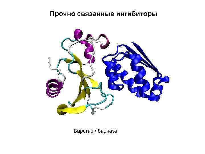 Прочно связанные ингибиторы Барстар / барназа 