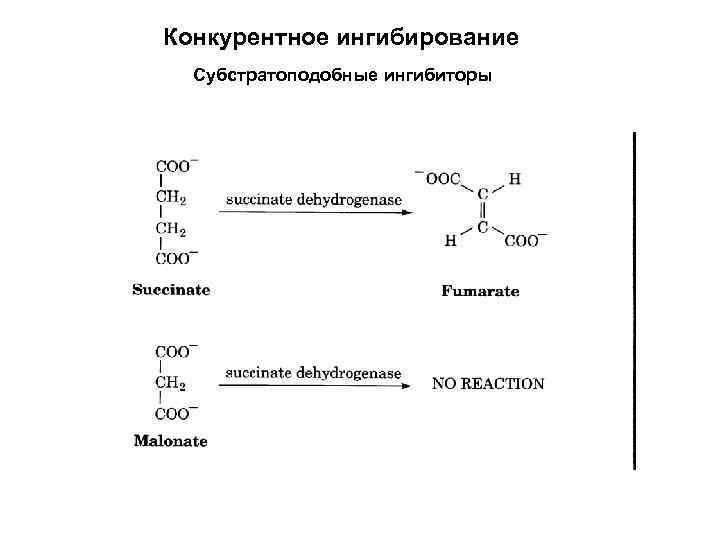 Конкурентное ингибирование Субстратоподобные ингибиторы 