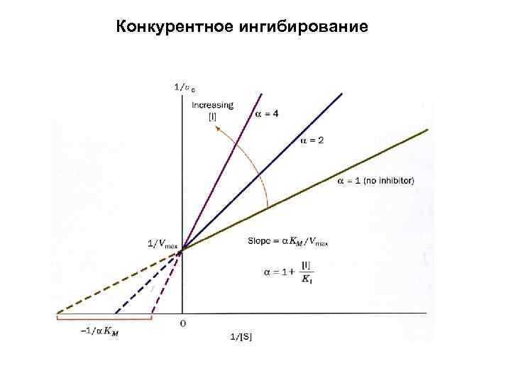 Конкурентное ингибирование 