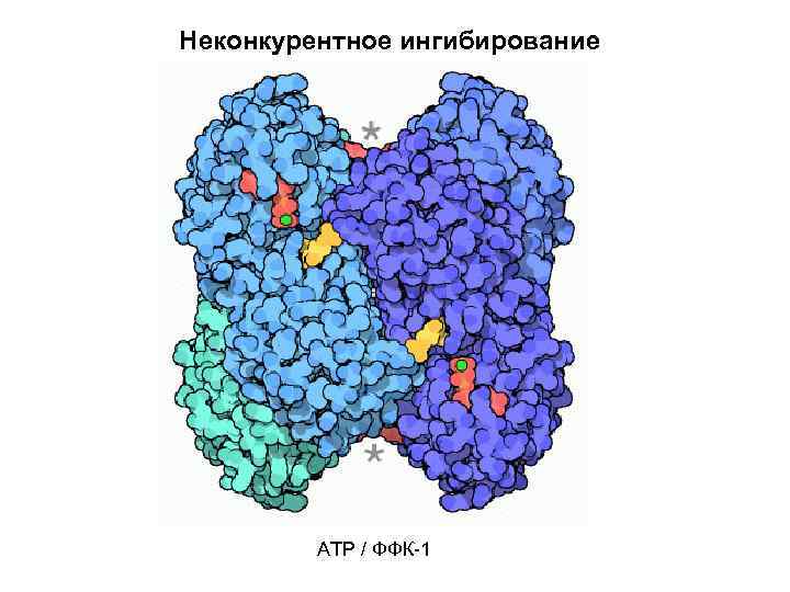 Неконкурентное ингибирование ATP / ФФК-1 