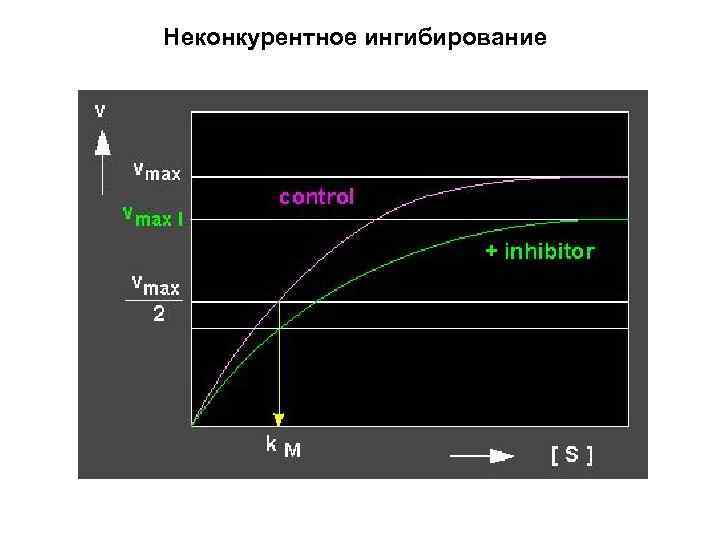 Неконкурентное ингибирование 