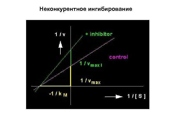 Неконкурентное ингибирование 