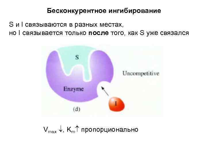 Неконкурентное ингибирование схема