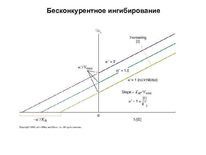 Бесконкурентное ингибирование 