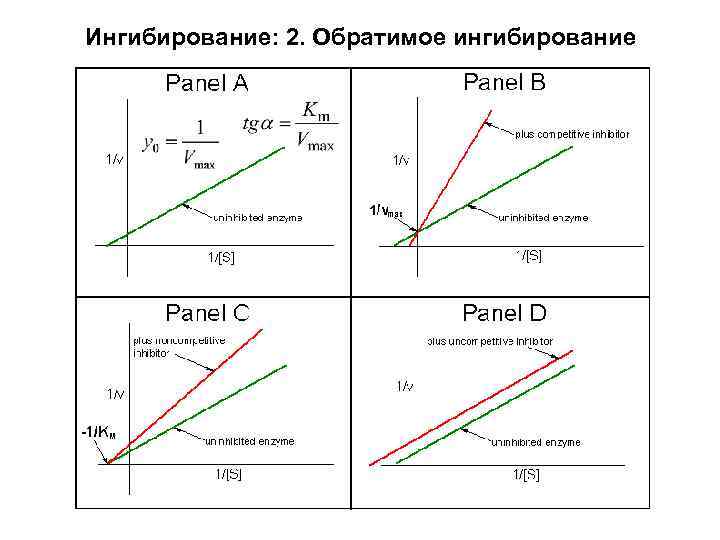 Ингибирование: 2. Обратимое ингибирование 