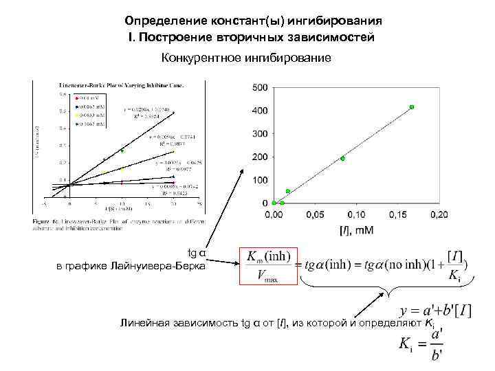 Определение констант(ы) ингибирования I. Построение вторичных зависимостей Конкурентное ингибирование tg α в графике Лайнуивера-Берка