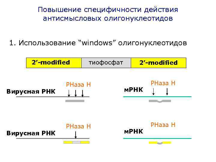 Повышение специфичности действия антисмысловых олигонуклеотидов 1. Использование “windows” олигонуклеотидов 2’-modified Вирусная РНК тиофосфат РНаза