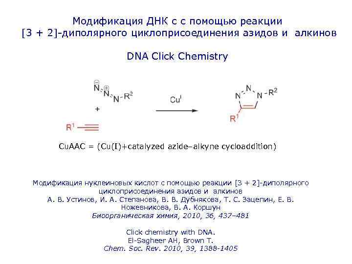 Модификация ДНК с с помощью реакции [3 + 2]-диполярного циклоприсоединения азидов и алкинов DNA