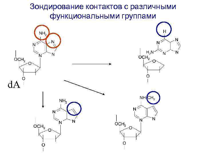 Зондирование контактов с различными функциональными группами d. A 