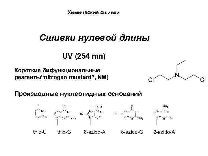Химические сшивки Сшивки нулевой длины UV (254 mn) Короткие бифункциональные реагенты“nitrogen mustard”, NM) Производные