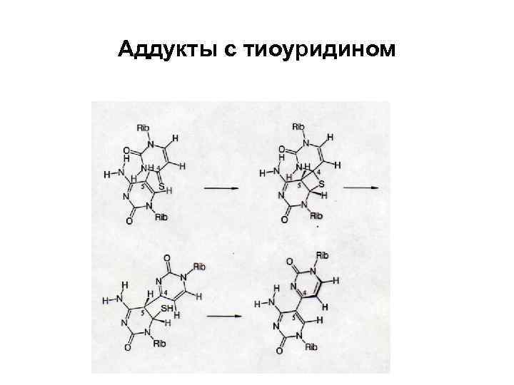 Аддукты с тиоуридином 