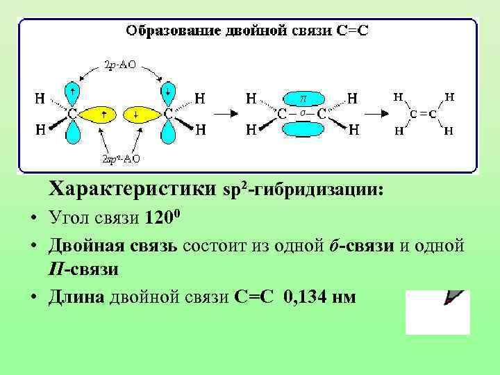 Характеристики sp 2 -гибридизации: • Угол связи 1200 • Двойная связь состоит из одной