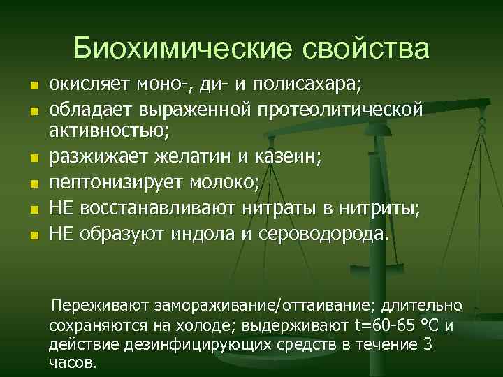 Биохимические свойства n n n окисляет моно-, ди- и полисахара; обладает выраженной протеолитической активностью;