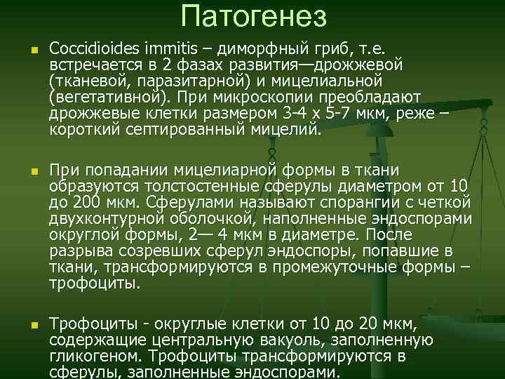 Патогенез n n n Coccidioides immitis – диморфный гриб, т. е. встречается в 2