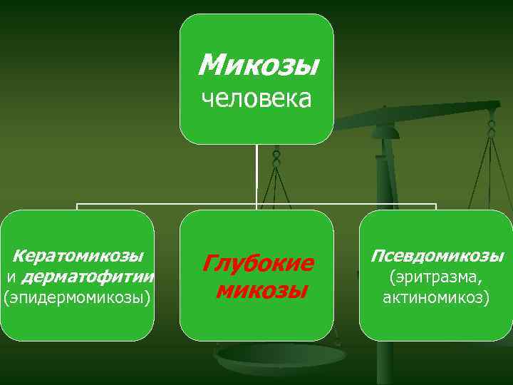 Микозы человека Кератомикозы и дерматофитии (эпидермомикозы) Глубокие микозы Псевдомикозы (эритразма, актиномикоз) 