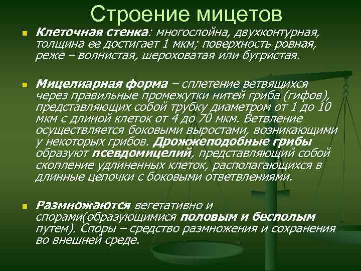 Строение мицетов n n n Клеточная стенка: многослойна, двухконтурная, толщина ее достигает 1 мкм;