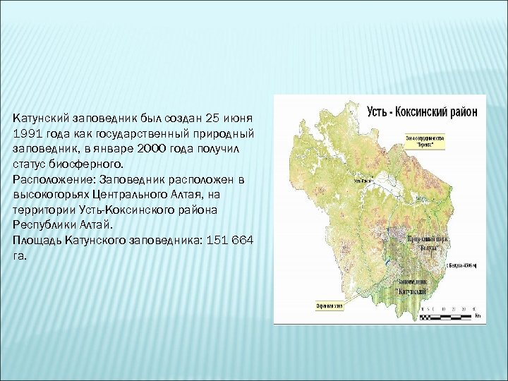 Катунский заповедник был создан 25 июня 1991 года как государственный природный заповедник, в январе