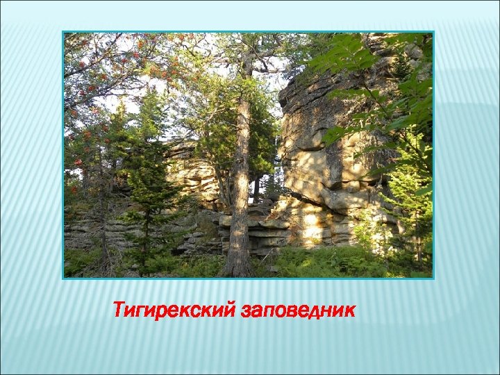 Тигирекский заповедник 