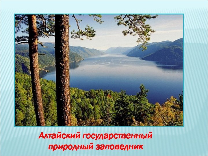 Алтайский государственный природный заповедник 