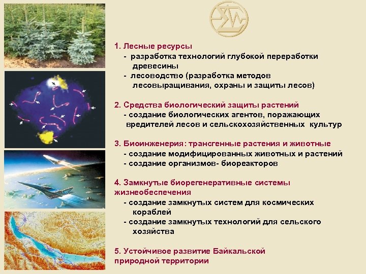 1. Лесные ресурсы - разработка технологий глубокой переработки древесины - лесоводство (разработка методов лесовыращивания,