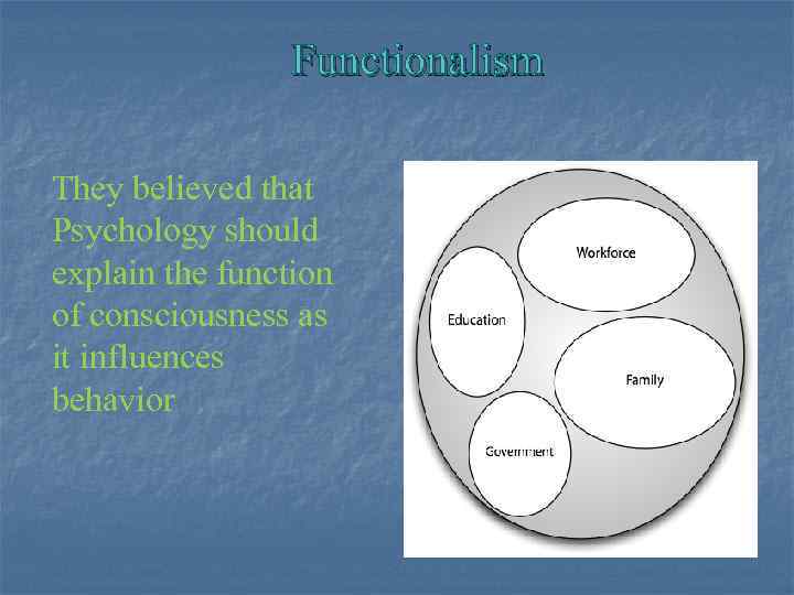 Functionalism They believed that Psychology should explain the function of consciousness as it influences