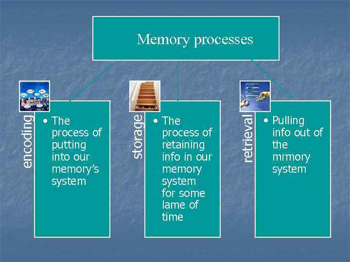  • The process of retaining info in our memory system for some lame