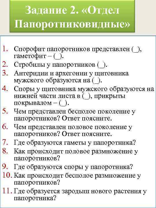 Задание 2. «Отдел Папоротниковидные» 1. Спорофит папоротников представлен (_), гаметофит – (_). 2. Стробилы