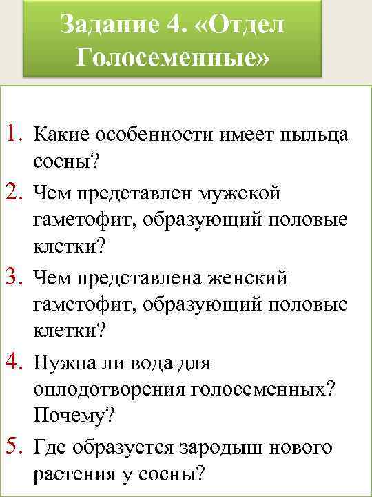 Задание 4. «Отдел Голосеменные» 1. Какие особенности имеет пыльца 2. 3. 4. 5. сосны?