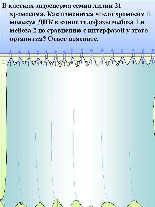 В клетках эндосперма семян лилии 21 хромосома. Как изменится число хромосом и молекул ДНК