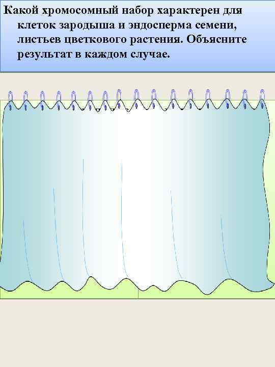 Какой хромосомный набор характерен для клеток зародыша и эндосперма семени, листьев цветкового растения. Объясните