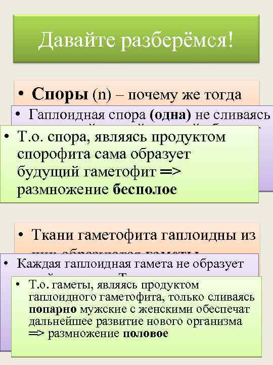 Давайте разберёмся! • Споры (n) – почему же тогда • Гаплоидная спора (одна) гаметы