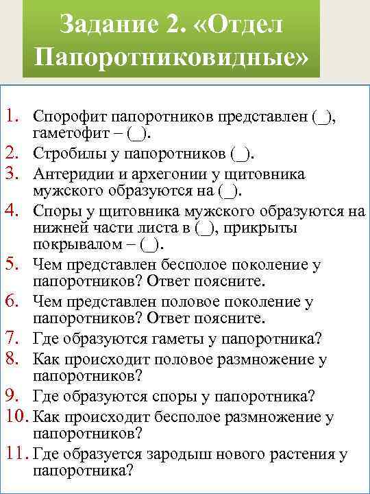 Задание 2. «Отдел Папоротниковидные» 1. Спорофит папоротников представлен (_), гаметофит – (_). 2. Стробилы