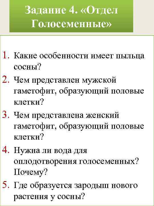 Задание 4. «Отдел Голосеменные» 1. Какие особенности имеет пыльца 2. 3. 4. 5. сосны?