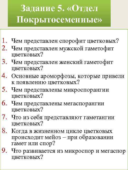 Задание 5. «Отдел Покрытосеменные» 1. Чем представлен спорофит цветковых? 2. Чем представлен мужской гаметофит