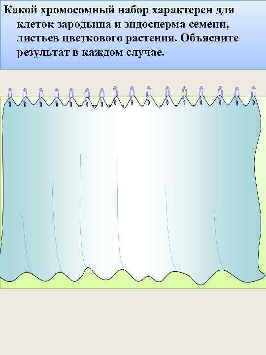 Какой хромосомный набор характерен для клеток зародыша и эндосперма семени, листьев цветкового растения. Объясните