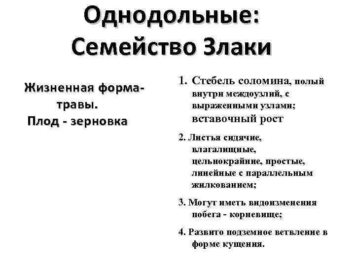 Однодольные: Семейство Злаки Жизненная форма- травы. Плод - зерновка 1. Стебель соломина, полый внутри