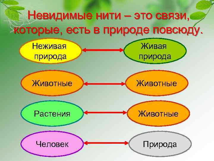 Невидимые нити – это связи, которые, есть в природе повсюду. Неживая природа Животные Растения