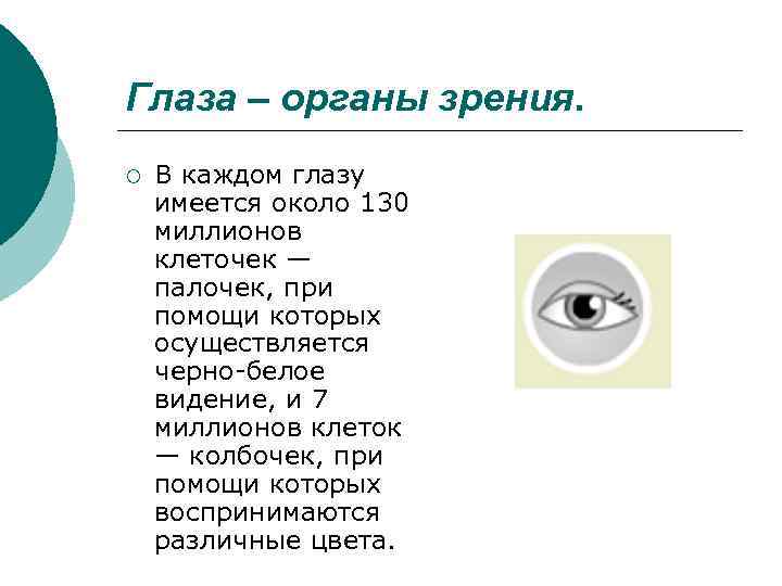 Органы чувств презентация 3. Проекты про зрение Введение. Описание проекта зрение. Проект по зрение 3 класс. Проект про зрение 5 класс.