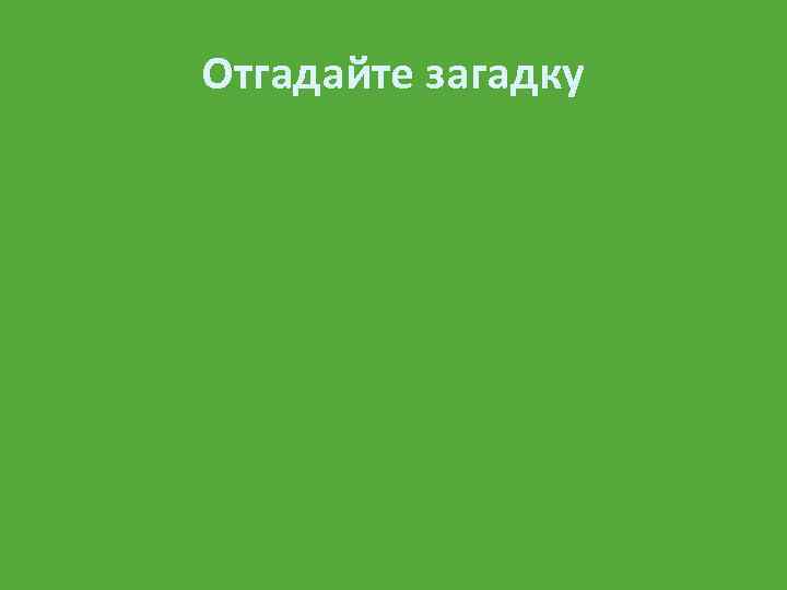 Отгадайте загадку 