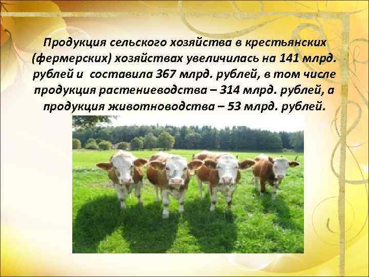 Продукция сельского хозяйства в крестьянских (фермерских) хозяйствах увеличилась на 141 млрд. рублей и составила