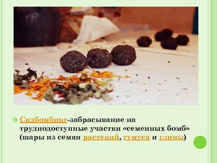  Сидбомбинг-забрасывание на труднодоступные участки «семенных бомб» (шары из семян растений, гумуса и глины)