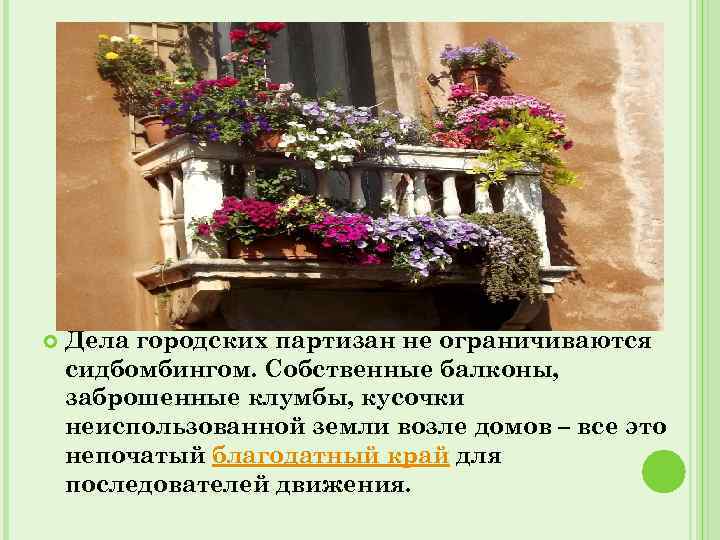  Дела городских партизан не ограничиваются сидбомбингом. Собственные балконы, заброшенные клумбы, кусочки неиспользованной земли