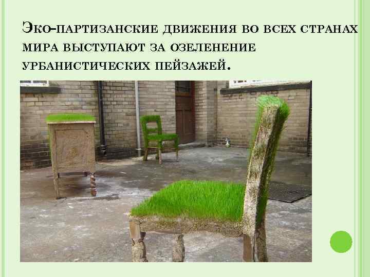 ЭКО-ПАРТИЗАНСКИЕ ДВИЖЕНИЯ ВО ВСЕХ СТРАНАХ МИРА ВЫСТУПАЮТ ЗА ОЗЕЛЕНЕНИЕ УРБАНИСТИЧЕСКИХ ПЕЙЗАЖЕЙ. 