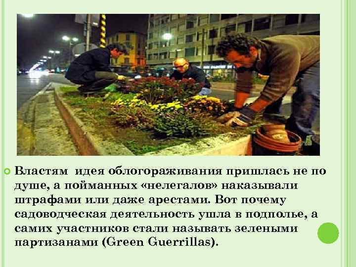  Властям идея облогораживания пришлась не по душе, а пойманных «нелегалов» наказывали штрафами или