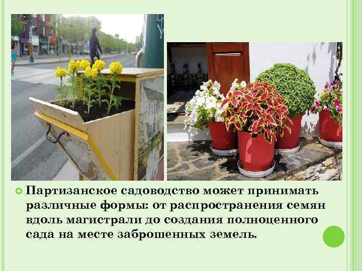  Партизанское садоводство может принимать различные формы: от распространения семян вдоль магистрали до создания